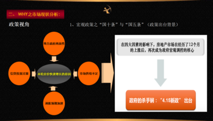 房地產營銷策劃全案解析 從策略到執行
